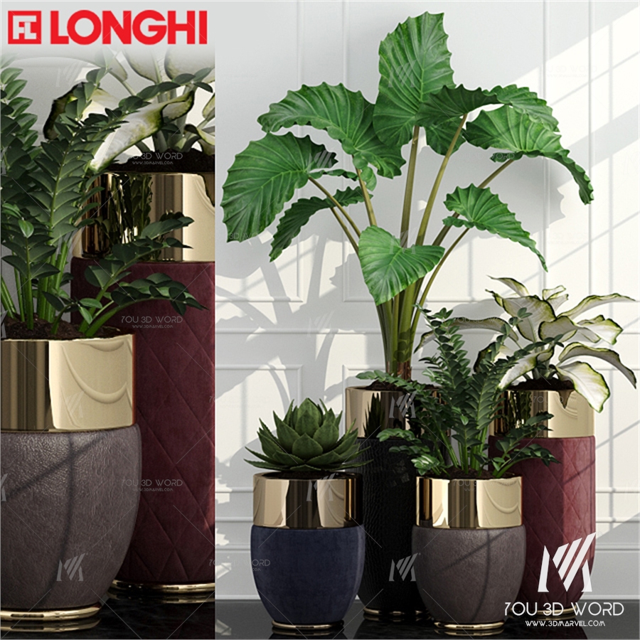 PLANT86